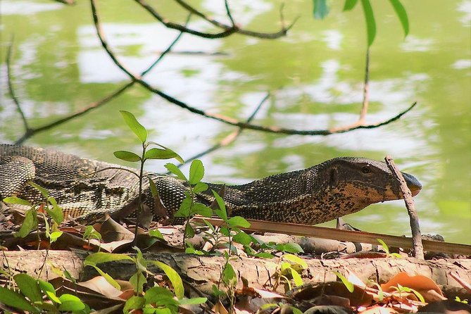 Family Bicycle Tour in the Green Oasis of Bangkok on Bamboo Bikes - Common Questions