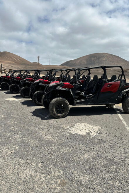 Family Buggy - 4 Seats, on Road Tour - Tour Experience