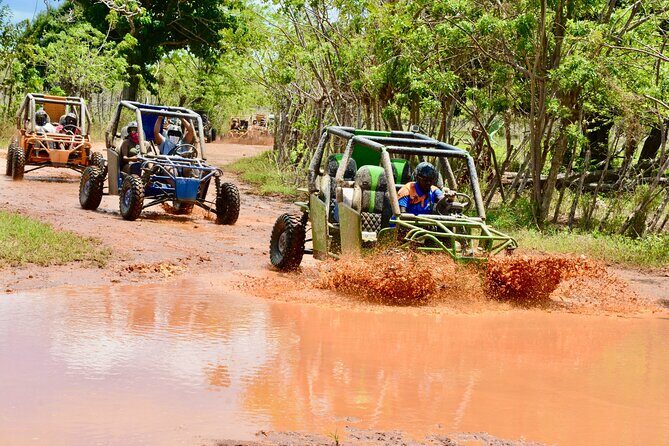 Family Buggy Adventure in Punta Cana  Up to 4 People per Vehicle - FAQ