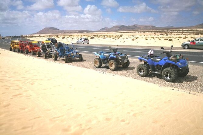 Family Buggy Safari With Dinner in Sharm El Sheikh - Traveler Information