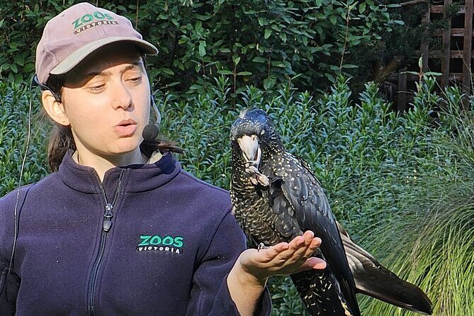 Family Day in the Yarra Valley Private Experience - An In-Depth Look at the Tour Experience