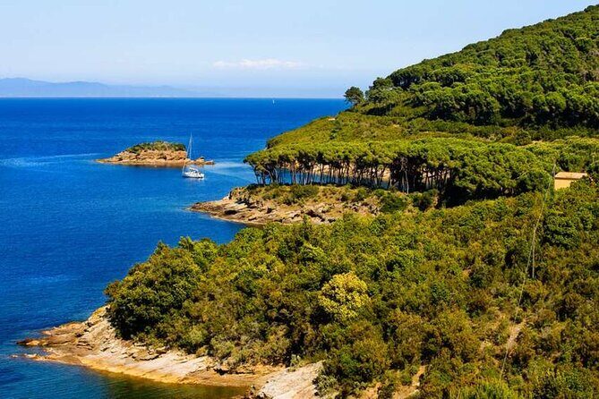 Family E-Bike Tour in the Costa dei Gabbiani Nature Reserve - Authentic Experiences Celebrated by Reviewers