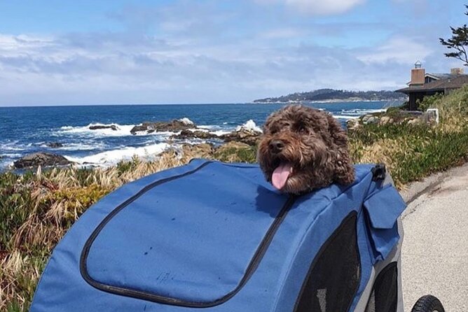 Family-Friendly 17-Mile Drive 2.5-hour Electric Bike Tour - Directions