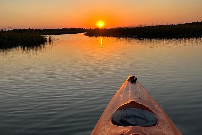 Family Friendly Dolphin Nature Kayak Tours in Hilton Head - Final Words