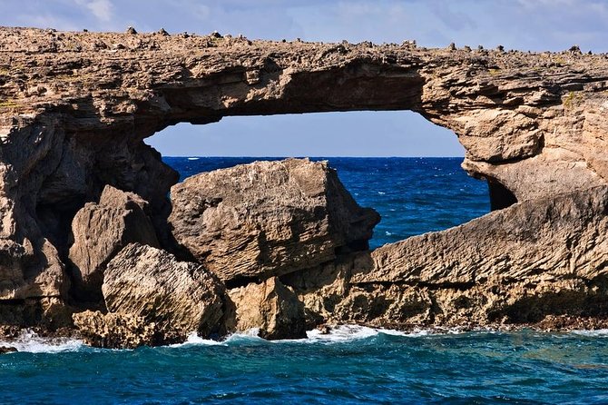 Family-Friendly Private Circle Island Tour of Oahu - Spot Dolphins and Turtles