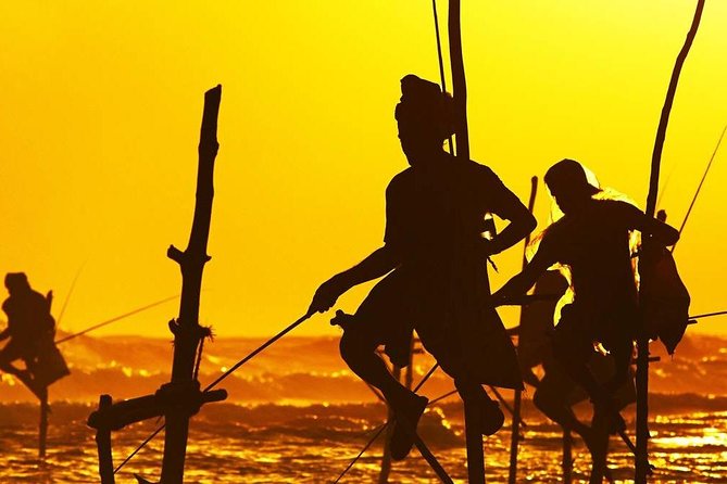 Family-Friendly Private Galle City Tour - Tour Details and Highlights