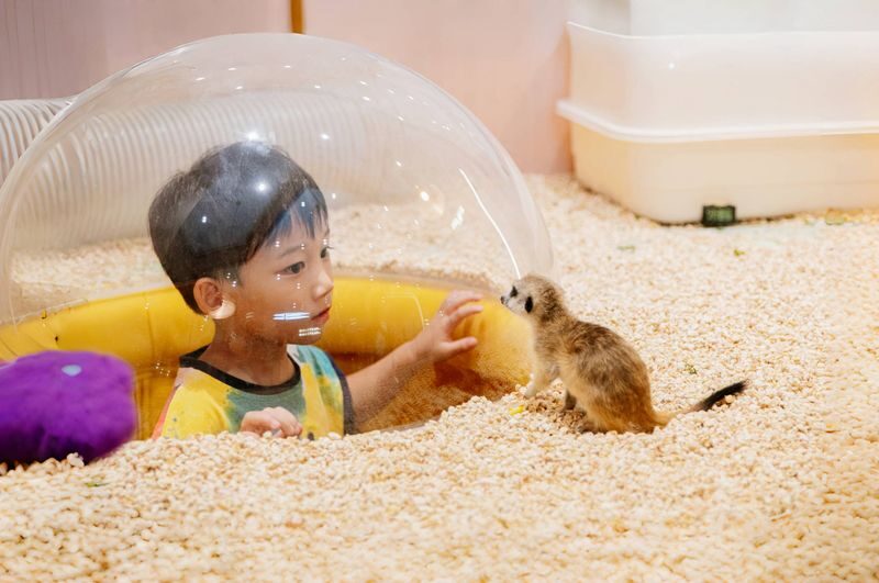 Family Fun in Longgang: MELAND (Shenzhen Longgang Vanke Plaza Store) - What a visit looks like, from the mall to the play floor