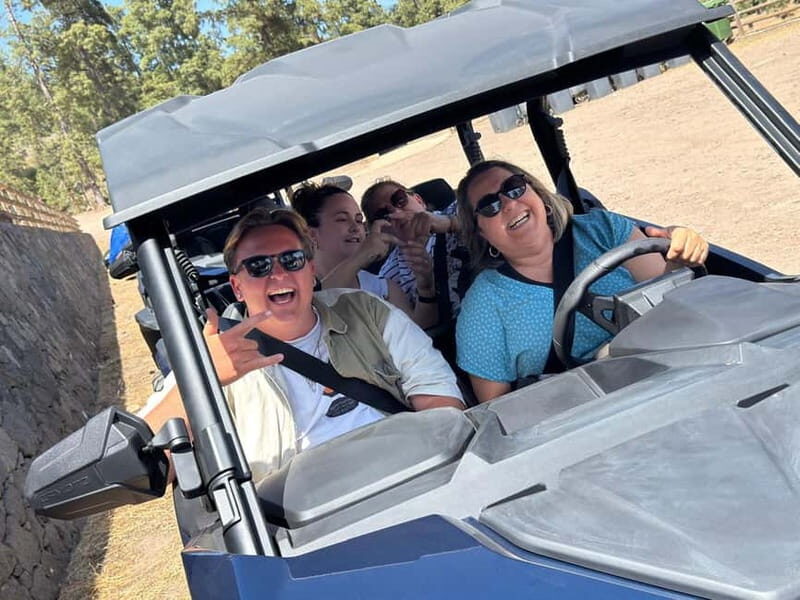 FAMILY FUN MONSTER BUGGY TOUR - Why this tour can be a highlight of your trip