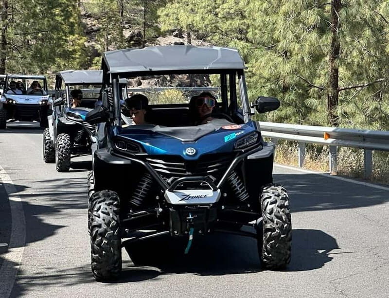 FAMILY FUN MONSTER BUGGY TOUR - Who should consider this buggy tour?