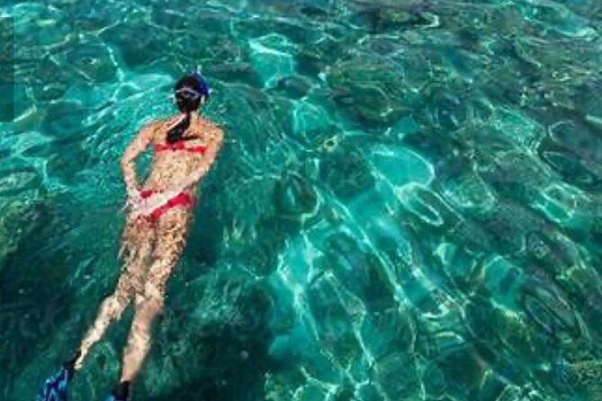 Family Fun-Snorkeling Activity in Montego Bay W/Lunch Stop - Meeting and Pickup