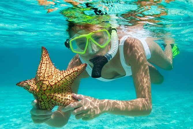 Family Fun-Snorkeling Activity in Montego Bay W/Lunch Stop - The Sum Up