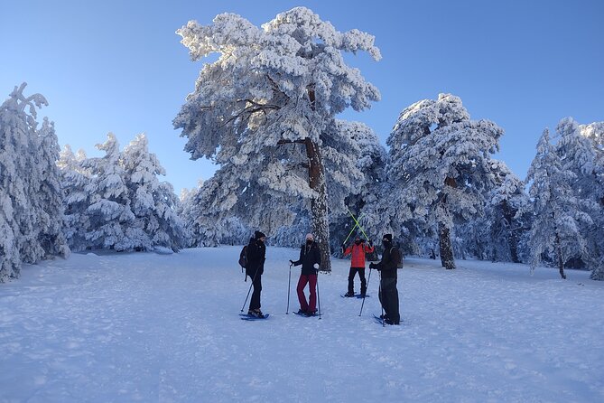 Family Fun: Snowshoeing Igloo Building Sledding - Choosing the Perfect Snowshoeing Trail
