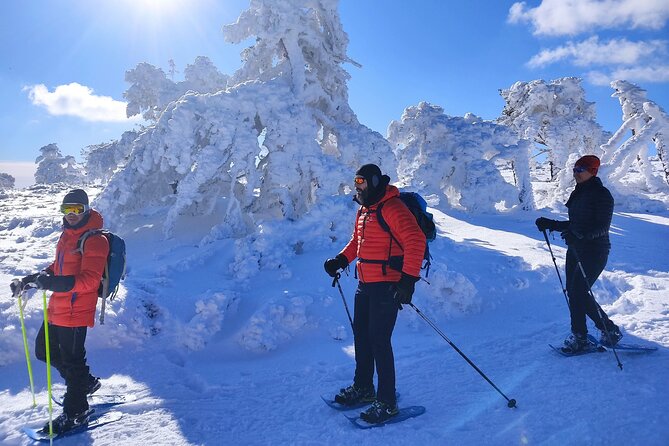 Family Fun: Snowshoeing Igloo Building Sledding - Common Questions
