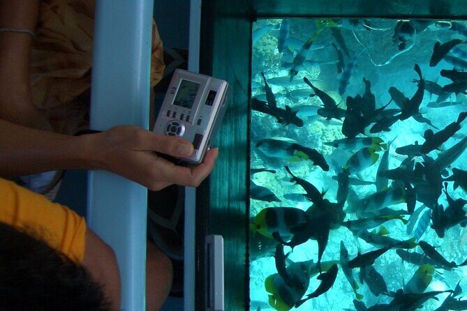 Family Fun-Speed Tubing & Glass Bottom Boat Activity, Montego Bay - Authentic Feedback from Travelers