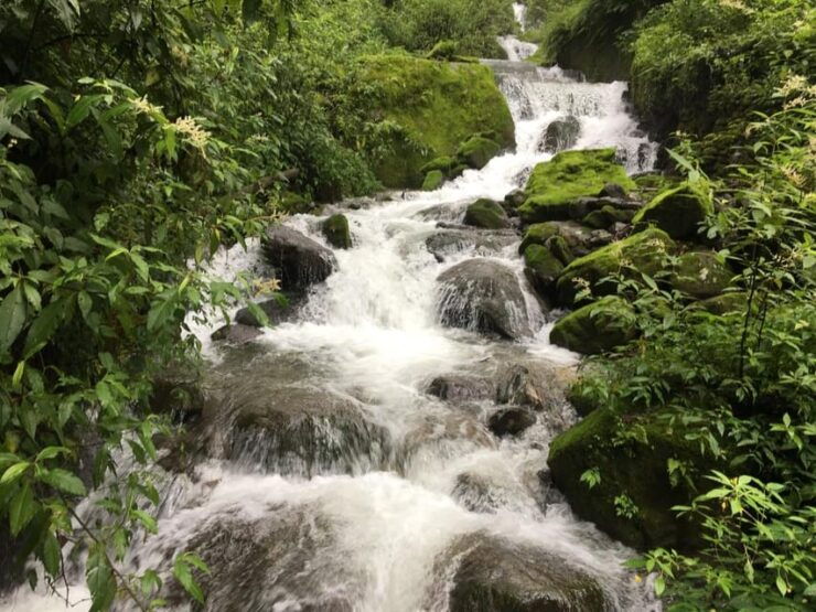 Family Helambu Circuit Trek - Key Points