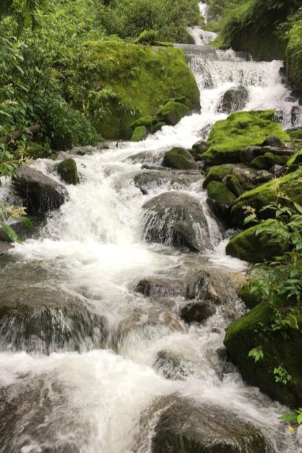Family Helambu Circuit Trek - Pricing and Booking Options