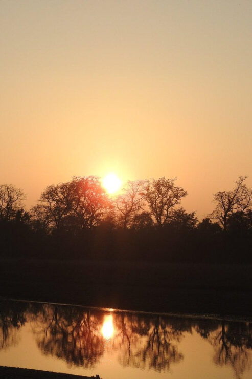 Family Holiday Tour - Itinerary Highlights