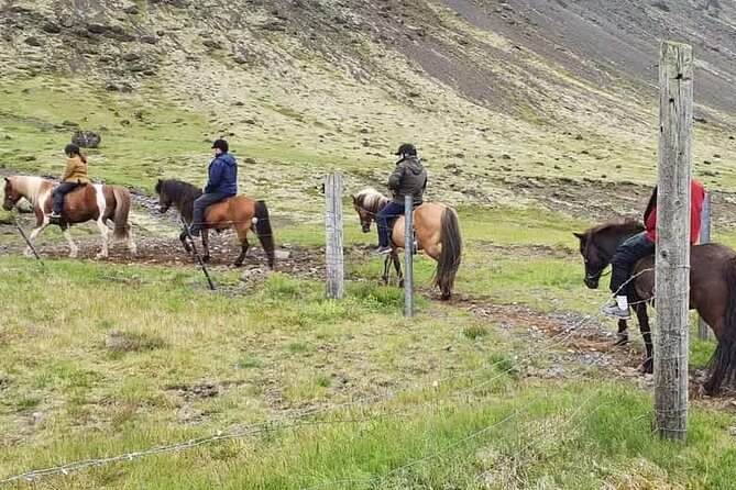 Family Horse Riding in the Country Side From Sveitarfélagið Ölfus - Good To Know