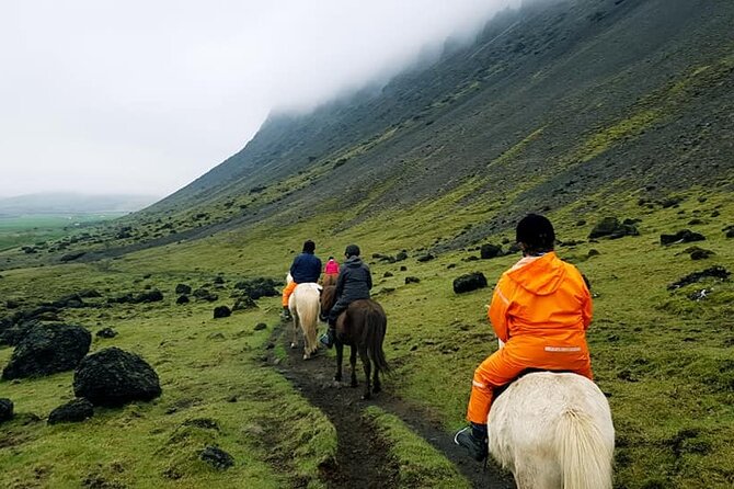 Family Horse Riding in the Country Side From Sveitarfélagið Ölfus - Whats Included and Meeting/Pickup