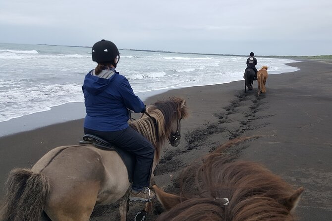 Family Horse Riding Tour in Thorlakshofn - Tour Highlights