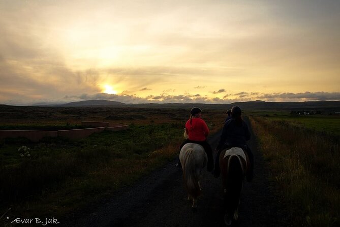 Family Horse Riding Tour in Thorlakshofn - Horse Riding Experience