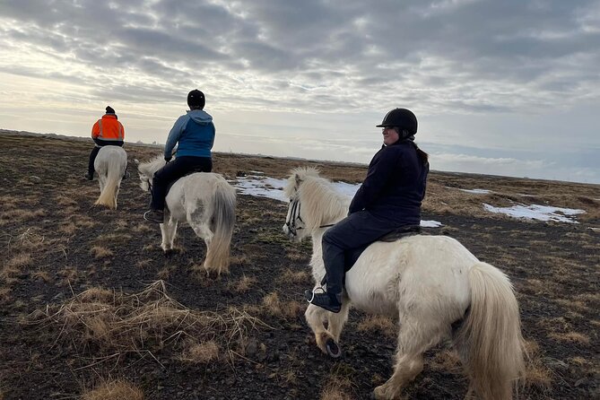 Family Horse Riding Tour in Thorlakshofn - Booking and Pricing Information