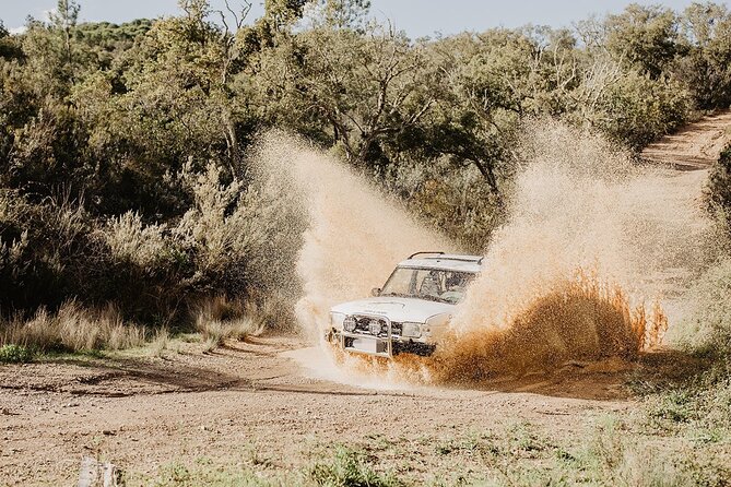 Family Jeep Safari up to 6 PAX - Explore the Breathtaking Wilderness