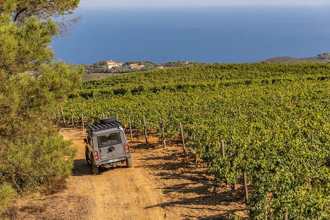 Family Jeep Tour at Ripalte - Pricing and Booking Information