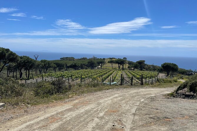 Family Jeep Tour at Ripalte - Family-Friendly Features