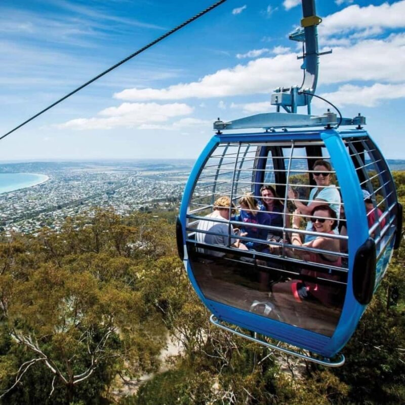 Family Lunch and Arthurs Seat Eagle for 2 Adults and 2 kids - Good To Know