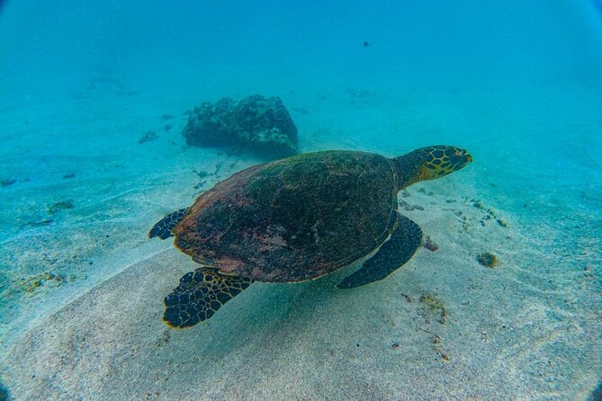 Family Package Private Fishing and Snorkeling - Activity Details