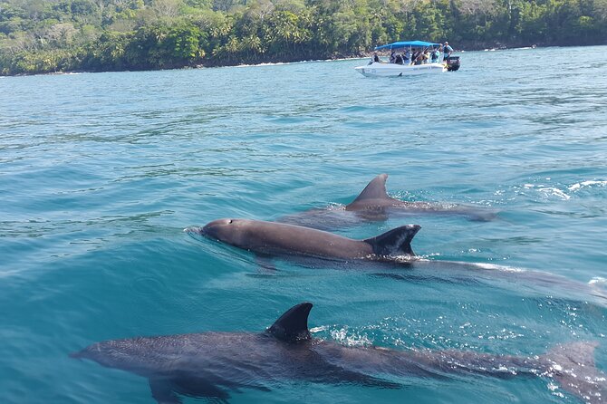 Family Package Private Fishing and Snorkeling - What to Bring