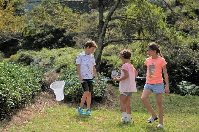 Family Picnic in a Tea Field - Pricing and Terms