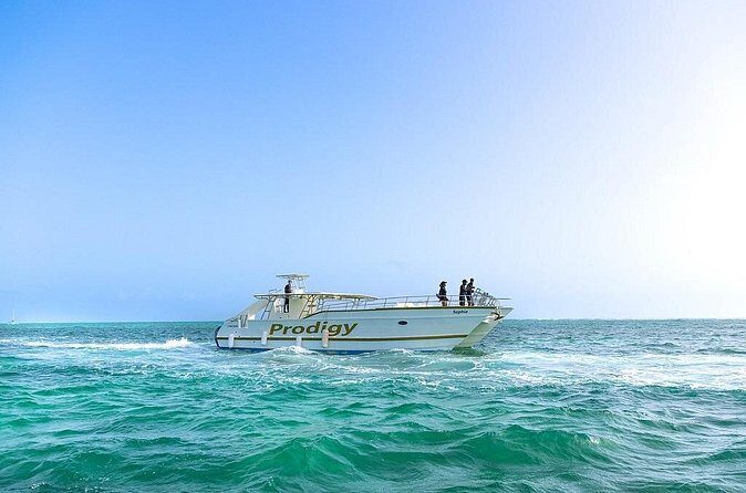 Family Shared Boat - Who is This Tour Best For?