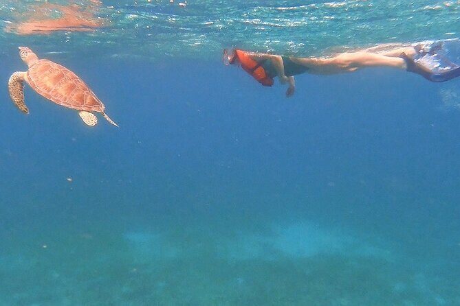 Family Snorkeling Tour - What to Expect from the Family Snorkeling Tour in Puerto Rico