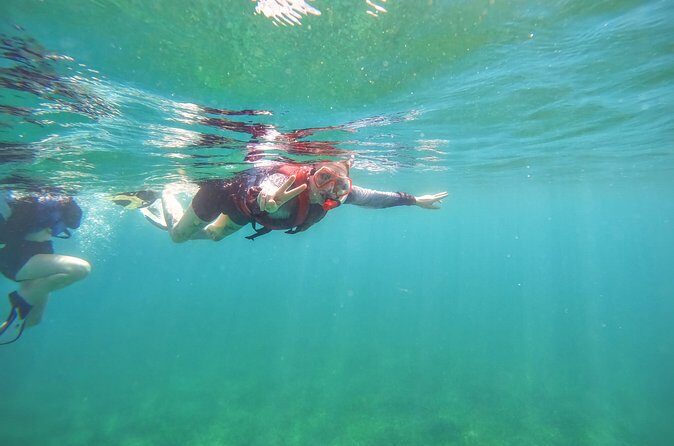 Family Snorkeling Tour - Who Will Love This Experience?