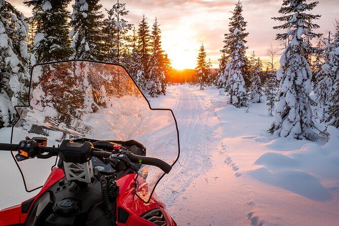 Family Snowmobile Safari in Rovaniemi - An In-Depth Look at the Snowmobile Safari Experience