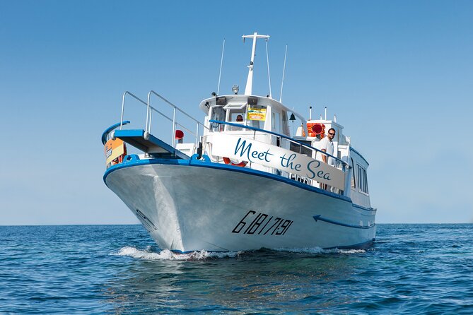 Family Summer Cruise in Ibiza - What to Expect