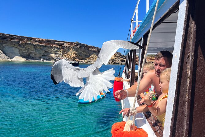 Family Summer Cruise in Ibiza - Background