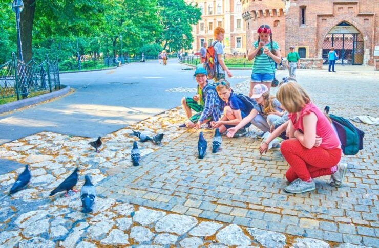 Family Tour of Krakow Old Town With Sweets Factory & Cruise - Activity Details