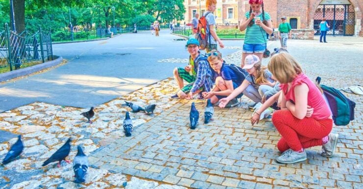 Family Tour of Krakow Old Town With Sweets Factory & Cruise - Booking Information
