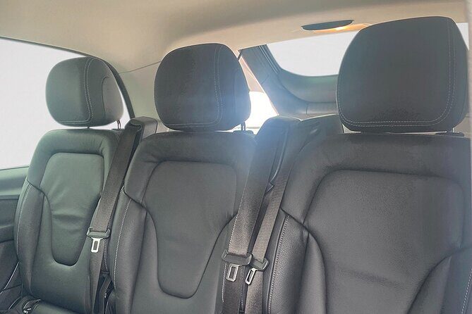 Family Tours in Auckland and North Island - What’s Included and What to Budget For