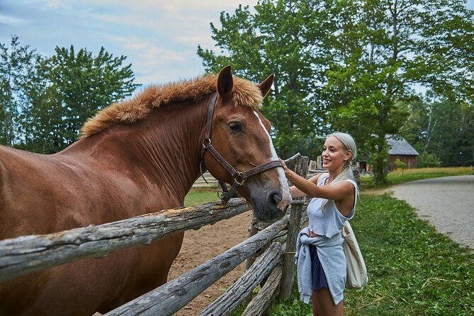 Family Visit to the Acadian Historic Village - Guided Tours and Demonstrations