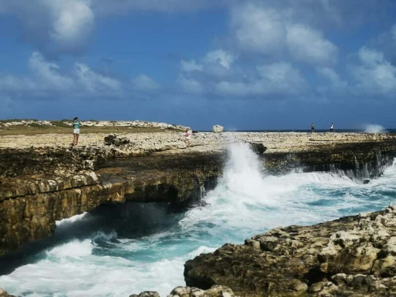 Famous Island Tour - What to Expect and Practical Tips