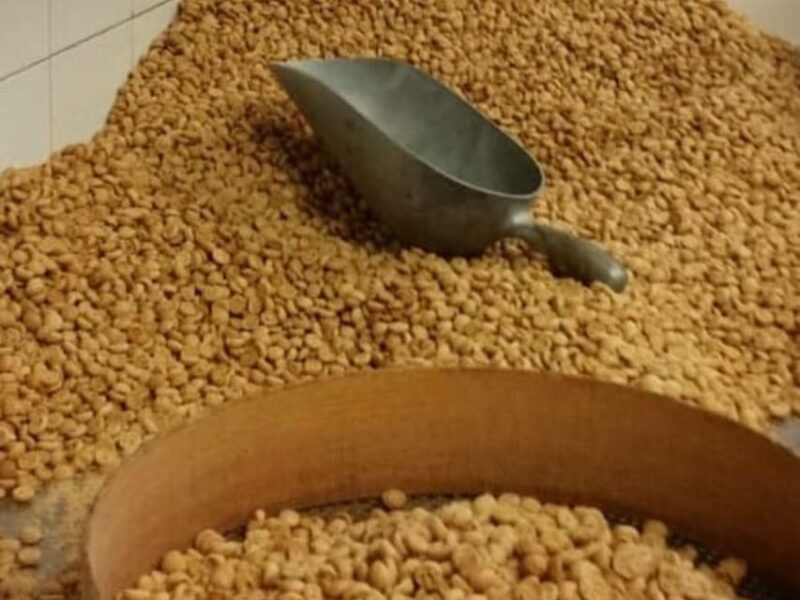 Famous Patisserie Visit and Tasting near Turin - Good To Know