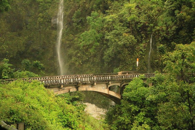 Famous Road to Hana Waterfalls & Lunch by Mercedes Van - Tour Highlights