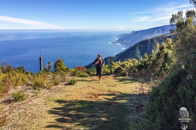 Fanal Ancient Forest Running Tour (Easy-Moderate) - Additional Information and Restrictions