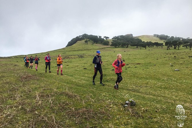 Fanal Ancient Forest Running Tour (Easy-Moderate) - Directions and Recommendations