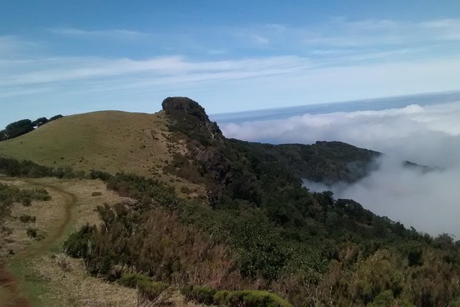 Fanal -Enchanted Forest Private Service - Enchanting Experiences