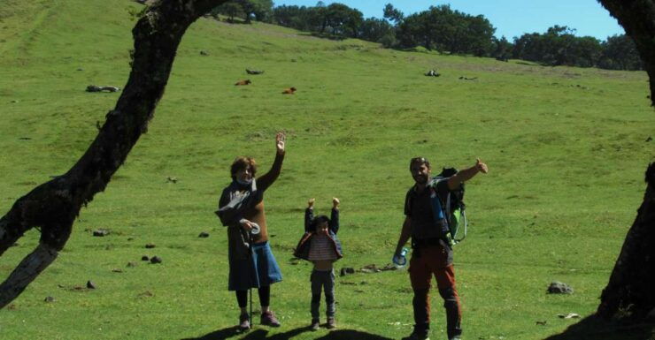 Fanal-Enchanted Forest - Activity Details